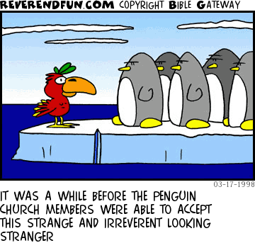 DESCRIPTION: Colorful tropical bird on ice with penguins CAPTION: IT WAS A WHILE BEFORE THE PENGUIN CHURCH MEMBERS WERE ABLE TO ACCEPT THIS STRANGE AND IRREVERENT LOOKING STRANGER