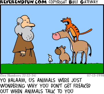 DESCRIPTION: Animals talking to Balaam CAPTION: YO BALAAM, US ANIMALS WERE JUST WONDERING WHY YOU DON'T GET FREAKED OUT WHEN ANIMALS TALK TO YOU