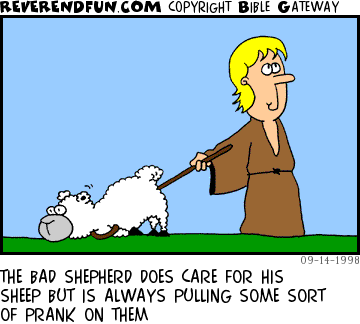 DESCRIPTION: Shepherd has just tripped a sheep using his cane CAPTION: THE BAD SHEPHERD DOES CARE FOR HIS SHEEP BUT IS ALWAYS PULLING SOME SORT OF PRANK ON THEM