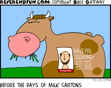 DESCRIPTION: Cow with 'Have you seen me?&quot; ad for missing person painted on CAPTION: BEFORE THE DAYS OF MILK CARTONS
