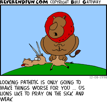 DESCRIPTION: Lion sitting and praying on some sort of antelope lookin' creature CAPTION: LOOKING PATHETIC IS ONLY GOING TO MAKE THINGS WORSE FOR YOU ... US LIONS LIKE TO PRAY ON THE SICK AND WEAK