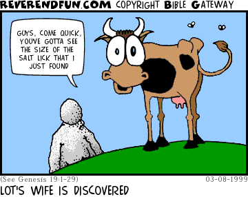 DESCRIPTION: Cow just found salt statue of Lot's ex-wife CAPTION: LOT'S WIFE IS DISCOVERED