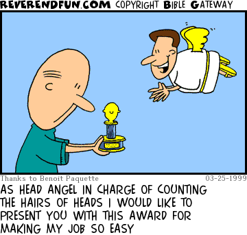 DESCRIPTION: Angel handing over award to guy with three hairs CAPTION: AS HEAD ANGEL IN CHARGE OF COUNTING THE HAIRS OF HEADS I WOULD LIKE TO PRESENT YOU WITH THIS AWARD FOR MAKING MY JOB SO EASY