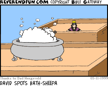 DESCRIPTION: David looking from his rooftop to another where a sheep is taking a bath CAPTION: DAVID SPOTS BATH-SHEEPA