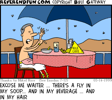 DESCRIPTION: Diner at the Nile Cafe is surrounded by flies (plague) CAPTION: EXCUSE ME WAITER ... THERE'S A FLY IN MY SOUP... AND IN MY BEVERAGE ... AND IN MY HAIR