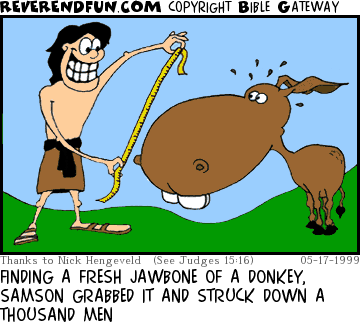 DESCRIPTION: Samson measuring the enormous jaw of a donkey CAPTION: FINDING A FRESH JAWBONE OF A DONKEY, SAMSON GRABBED IT AND STRUCK DOWN A THOUSAND MEN