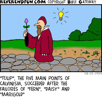 DESCRIPTION: John Calvin is looking at a tulip, many flower parts laying on the ground behind him. CAPTION: "TULIP", THE FIVE MAIN POINTS OF CALVINISM, SUCCEEDED AFTER THE FAILURES OF "FERN", "DAISY" AND "MARIGOLD"