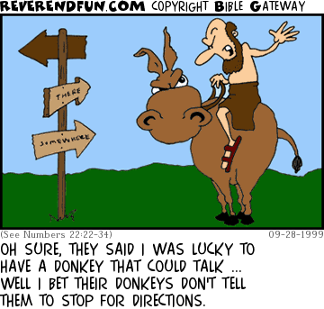 DESCRIPTION: Guy riding donkey next to directional signs CAPTION: OH SURE, THEY SAID I WAS LUCKY TO HAVE A DONKEY THAT COULD TALK ... WELL I BET THEIR DONKEYS DON'T TELL THEM TO STOP FOR DIRECTIONS.