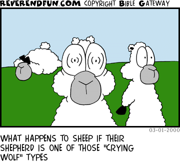 DESCRIPTION: Freaked out sheep CAPTION: WHAT HAPPENS TO SHEEP IF THEIR SHEPHERD IS ONE OF THOSE "CRYING WOLF" TYPES