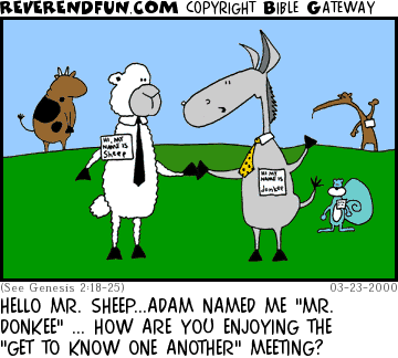 DESCRIPTION: Animals wearing nametags and greeting each other CAPTION: HELLO MR. SHEEP...ADAM NAMED ME "MR. DONKEE" ... HOW ARE YOU ENJOYING THE "GET TO KNOW ONE ANOTHER" MEETING?