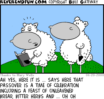 DESCRIPTION: Two sheep, one reading a book CAPTION: AH YES, HERE IT IS ... SAYS HERE THAT PASSOVER IS A TIME OF CELEBRATION INCLUDING A FEAST OF UNLEAVENED BREAD, BITTER HERBS AND ... UH OH