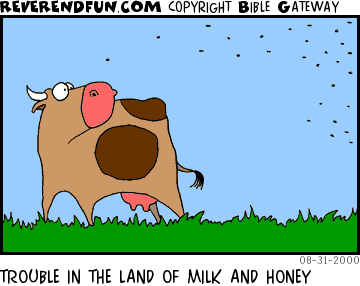 DESCRIPTION: Cow looking back at approaching swarm of bees CAPTION: TROUBLE IN THE LAND OF MILK AND HONEY