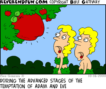 DESCRIPTION: Adam and Eve looking at a tree with a giant Apple on it. CAPTION: DURING THE ADVANCED STAGES OF THE TEMPTATION OF ADAM AND EVE