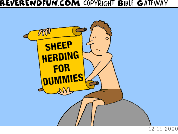 DESCRIPTION: Man reading 'Sheep Herding for Dummies&quot; scroll CAPTION: 