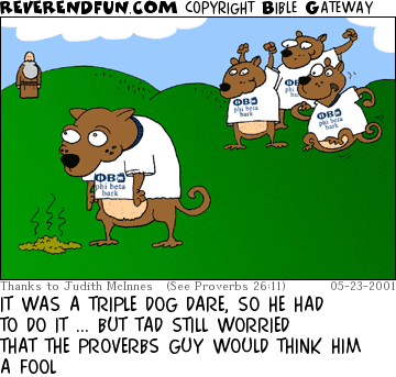 DESCRIPTION: Dog standing by a pile, dogs in the background acting rowdy CAPTION: IT WAS A TRIPLE DOG DARE, SO HE HAD TO DO IT ... BUT TAD STILL WORRIED THAT THE PROVERBS GUY WOULD THINK HIM A FOOL
