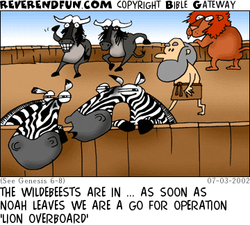 DESCRIPTION: Two zebras wispering in foreground.  Noah, a lion, and two wildebeests in background CAPTION: THE WILDEBEESTS ARE IN ... AS SOON AS NOAH LEAVES WE ARE A GO FOR OPERATION 'LION OVERBOARD'