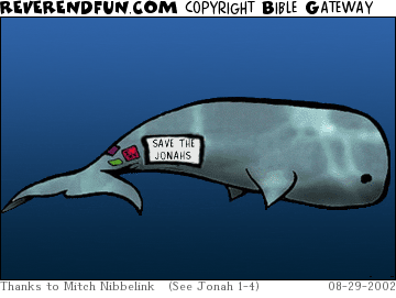 DESCRIPTION: Whale with a bumper sticker CAPTION: 