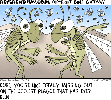 DESCRIPTION: Two locusts talking, other flying by in background CAPTION: DUDE, YOU'RE LIKE TOTALLY MISSING OUT ON THE COOLEST PLAGUE THAT HAS EVER BEEN