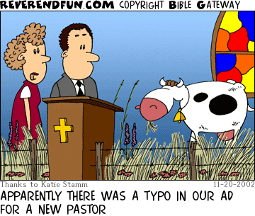 DESCRIPTION: Pulpit surrounded by field grass and a cow.  Two folks looking on and talking CAPTION: APPARENTLY THERE WAS A TYPO IN OUR AD FOR A NEW PASTOR