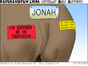 DESCRIPTION: Rear of camel with 'Jonah' liscense plate and two bumper stickers CAPTION: 