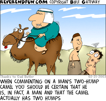 DESCRIPTION: Large person riding on a camel, two men behind camel, one man all beat up CAPTION: WHEN COMMENTING ON A MAN'S TWO-HUMP CAMEL YOU SHOULD BE CERTAIN THAT HE IS, IN FACT, A MAN AND THAT THE CAMEL ACTUALLY HAS TWO HUMPS