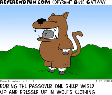 DESCRIPTION: Sheep wearing a wolf costume CAPTION: DURING THE PASSOVER ONE SHEEP WISED UP AND DRESSED UP IN WOLF'S CLOTHING