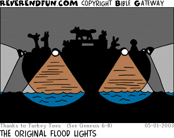 DESCRIPTION: Ark with lights on at night CAPTION: THE ORIGINAL FLOOD LIGHTS