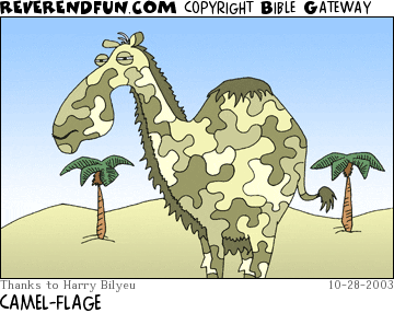 DESCRIPTION: Camel in camo CAPTION: CAMEL-FLAGE