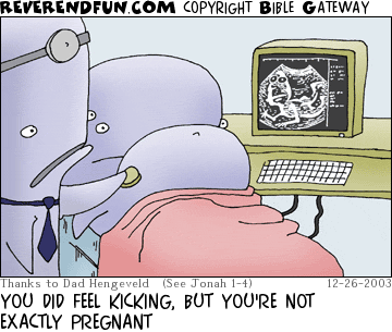 DESCRIPTION: Whale getting an ultrasound CAPTION: YOU DID FEEL KICKING, BUT YOU'RE NOT EXACTLY PREGNANT
