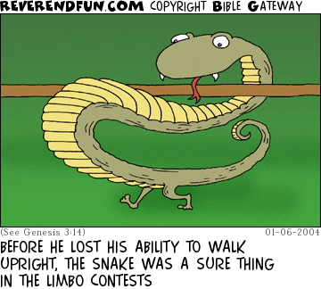 DESCRIPTION: Snake walking under a stick CAPTION: BEFORE HE LOST HIS ABILITY TO WALK UPRIGHT, THE SNAKE WAS A SURE THING IN THE LIMBO CONTESTS