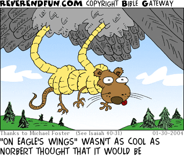 DESCRIPTION: Rat caught by eagle CAPTION: "ON EAGLE'S WINGS" WASN'T AS COOL AS NORBERT THOUGHT THAT IT WOULD BE