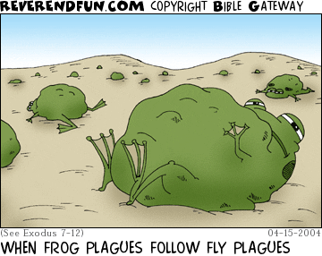 DESCRIPTION: Fat frogs laying around CAPTION: WHEN FROG PLAGUES FOLLOW FLY PLAGUES