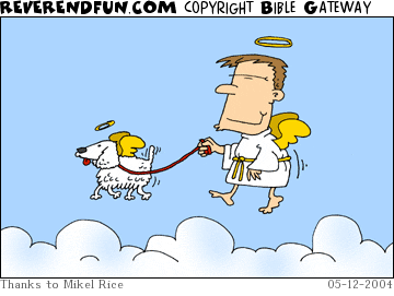 DESCRIPTION: Angel guy walking angel dog CAPTION: 