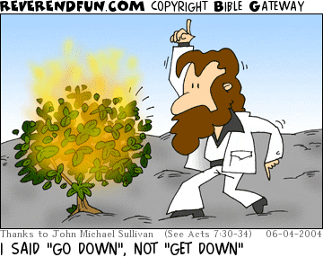 DESCRIPTION: Moses dancing at the burning bush CAPTION: I SAID "GO DOWN", NOT "GET DOWN"