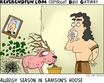 DESCRIPTION: Samson holding a hanky to his nose, dog and plant have had their hair/leaves blown off CAPTION: ALLERGY SEASON IN SAMSON'S HOUSE