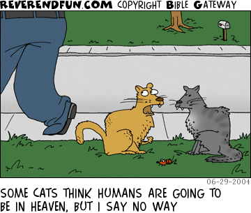 DESCRIPTION: Cats talking about a passer-by CAPTION: SOME CATS THINK HUMANS ARE GOING TO BE IN HEAVEN, BUT I SAY NO WAY