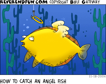 DESCRIPTION: Angel fish being hooked by the halo CAPTION: HOW TO CATCH AN ANGEL FISH