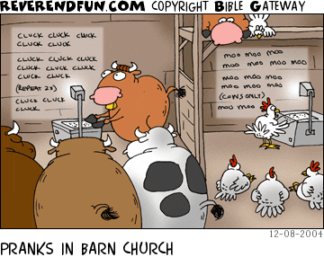 DESCRIPTION: Cows in cow church looking at slides of lyrics from chicken songs and chickens looking at cow slides CAPTION: PRANKS IN BARN CHURCH