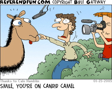 DESCRIPTION: Two men on a film crew approaching a camel CAPTION: SMILE, YOU'RE ON CANDID CAMEL