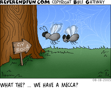 DESCRIPTION: Two flies looking at a sign that points toward &quot;Fly Mecca&quot;.  Spider web in background. CAPTION: WHAT THE? ... WE HAVE A MECCA?