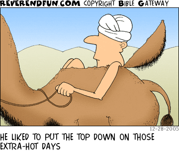 DESCRIPTION: Man with top of camel's hump flipped back and riding in the hump CAPTION: HE LIKED TO PUT THE TOP DOWN ON THOSE EXTRA-HOT DAYS