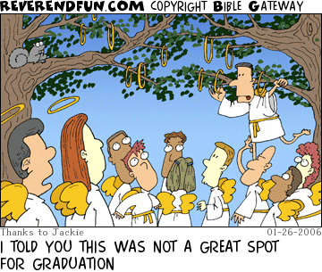DESCRIPTION: A bunch of angels looking up at halos stuck in trees CAPTION: I TOLD YOU THIS WAS NOT A GREAT SPOT FOR GRADUATION