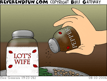 DESCRIPTION: A shaker of pepper and a shaker of &quot;Lot's wife&quot; CAPTION: 