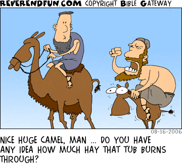 DESCRIPTION: Man on small donkey yelling at man on large camel CAPTION: NICE HUGE CAMEL, MAN ... DO YOU HAVE ANY IDEA HOW MUCH HAY THAT TUB BURNS THROUGH?
