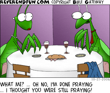 DESCRIPTION: prayers, praying, praying mantises, dinners, suppers, dates, dating, restaurants, eating out CAPTION: WHAT ME? ... OH NO, I'M DONE PRAYING ... I THOUGHT YOU WERE STILL PRAYING!