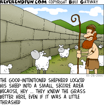 DESCRIPTION: A shepherd watches over his sheep in a walled in area where the grass is not very green CAPTION: THE GOOD-INTENTIONED SHEPHERD LOCKED HIS SHEEP INTO A SMALL, SECURE AREA BECAUSE, HEY ... THEY KNEW THE GRASS BETTER HERE, EVEN IF IT WAS A LITTLE THRASHED