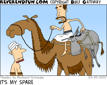 DESCRIPTION: Man riding a camel with a small donkey strapped to the back CAPTION: IT'S MY SPARE