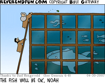DESCRIPTION: Noah packing fish into a giant tank CAPTION: THE FISH WILL BE OK, NOAH