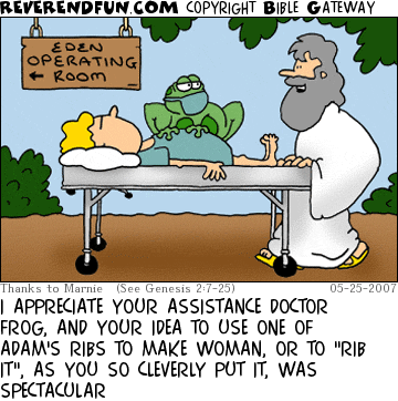 DESCRIPTION: God and a frog doctor wheeling Adam into surgery CAPTION: I APPRECIATE YOUR ASSISTANCE DOCTOR FROG, AND YOUR IDEA TO USE ONE OF ADAM'S RIBS TO MAKE WOMAN, OR TO "RIB IT", AS YOU SO CLEVERLY PUT IT, WAS SPECTACULAR