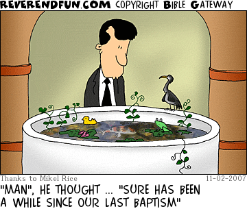 DESCRIPTION: Pastor looking at an unused baptismal that has been overrun with lily pads, frogs, vines, a rubber ducky, a koi, and a cormorant CAPTION: "MAN", HE THOUGHT ... "SURE HAS BEEN A WHILE SINCE OUR LAST BAPTISM"